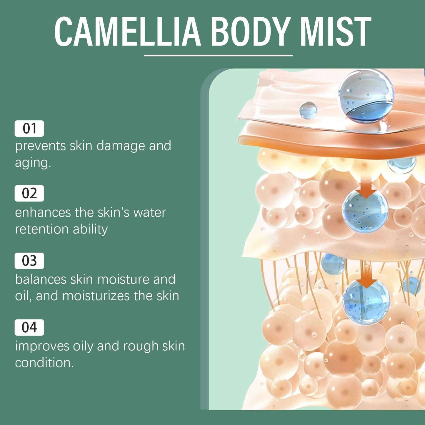 Camellia Body Lotion Body Skin Refreshing Care BAZONA
