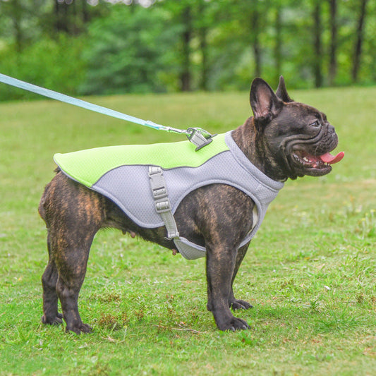 Summer Pet Dog Cooling Vest Heat Resistant Cool Dogs Clothes Breathable Sun-proof Clothing For Small Large Dogs Outdoor Walking BAZONA